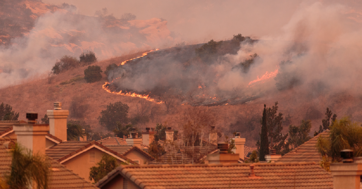 Fire Season Is Here: The Link Between Wildlife and Wildfires