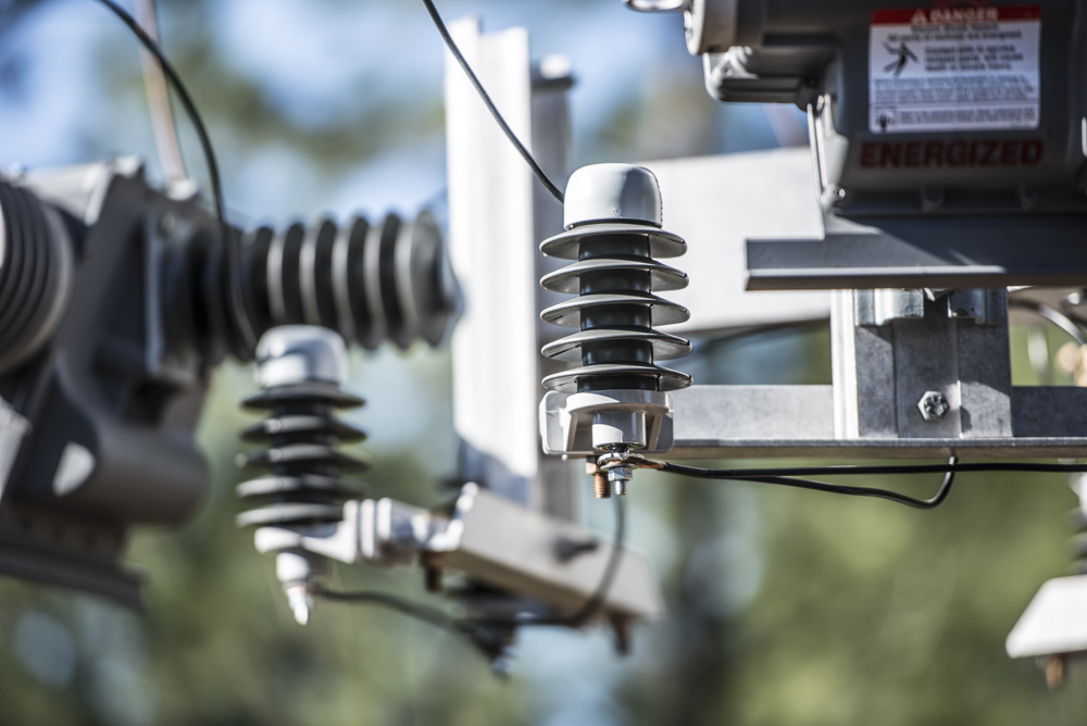 Gapped vs Gapless Distribution Arresters