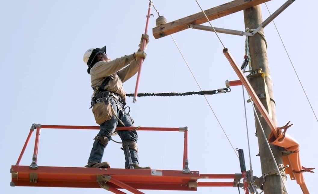 primary and secondary protection lineman